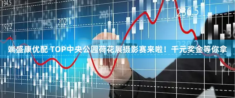 端盛康优配 TOP中央公园荷花展摄影赛来啦！千元奖金等你拿
