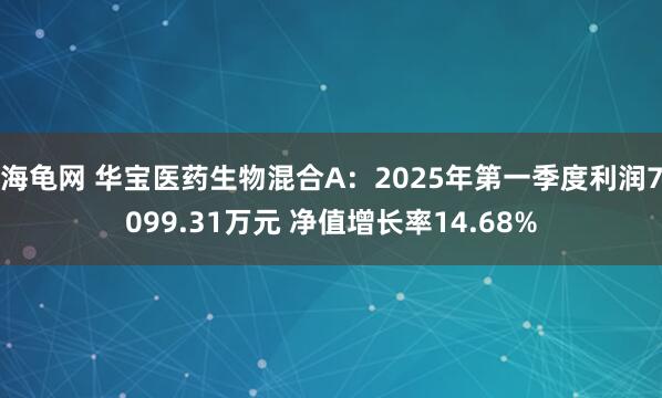 海龟网 华宝医药生物混合A：2025年第一季度利润7099.31万元 净值增长率14.68%