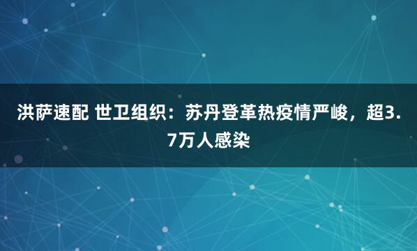洪萨速配 世卫组织：苏丹登革热疫情严峻，超3.7万人感染