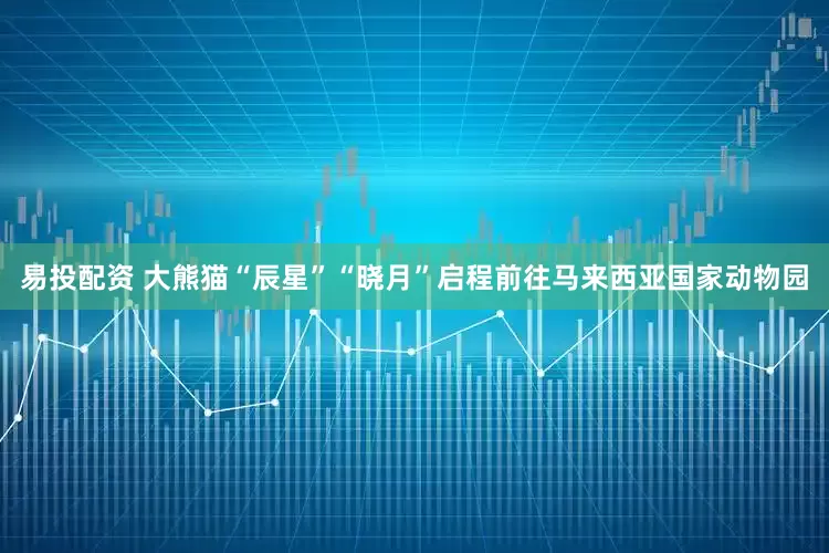 易投配资 大熊猫“辰星”“晓月”启程前往马来西亚国家动物园